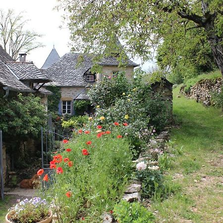 Les Terrasses De Labade Gite Et Chambres D'Hotes Coubisou Zewnętrze zdjęcie