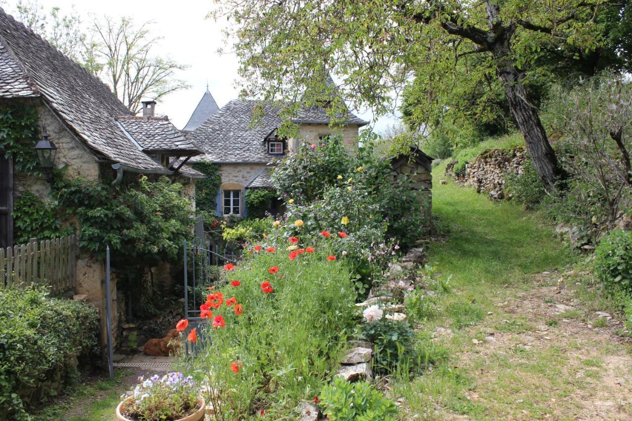 Les Terrasses De Labade Gite Et Chambres D'Hotes Coubisou Zewnętrze zdjęcie