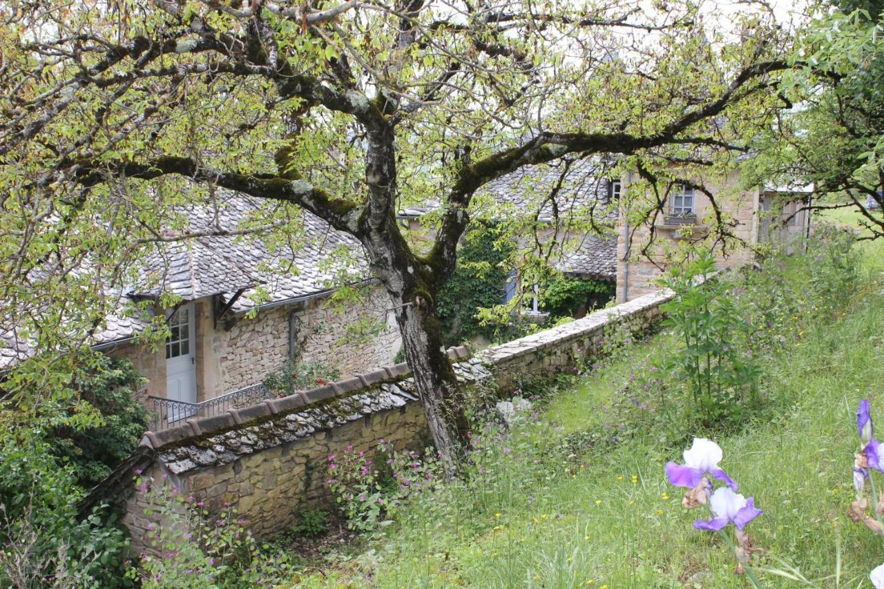 Les Terrasses De Labade Gite Et Chambres D'Hotes Coubisou Zewnętrze zdjęcie